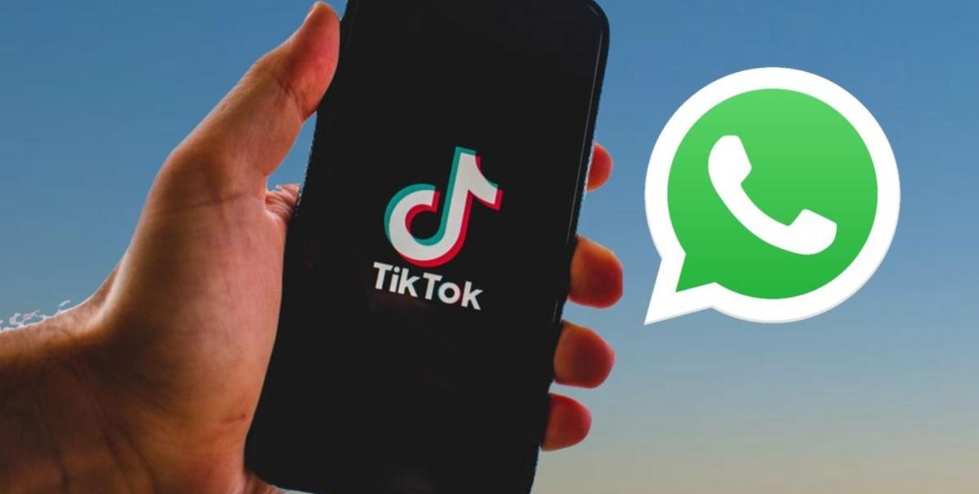 Cómo poner un video de TikTok en los estados de WhatsApp