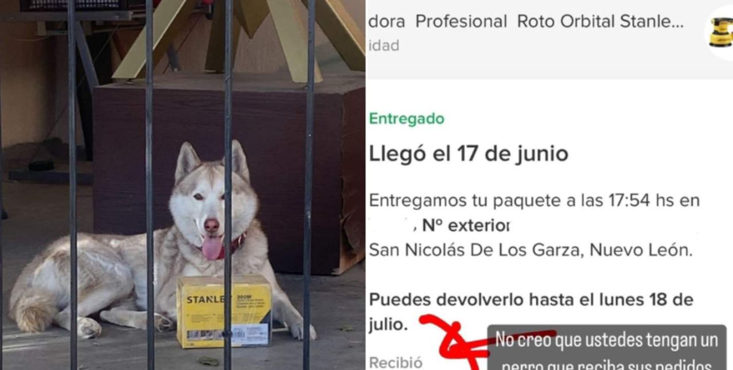 "No creo que ustedes tengan un perro que reciba sus pedidos”, escribió el dueño de un Husky que recibió su paquete de MercadoLibre mientras no estaba en casa.