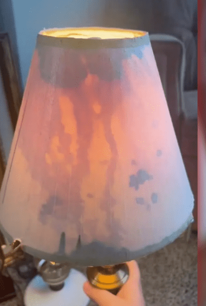 [VIDEO] Mujer descubre horrorizada sangre en su lámpara nueva; ¿objeto de un crimen?