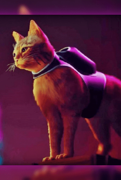 El protagonista de "Stray" ayuda a gatos en el mundo real