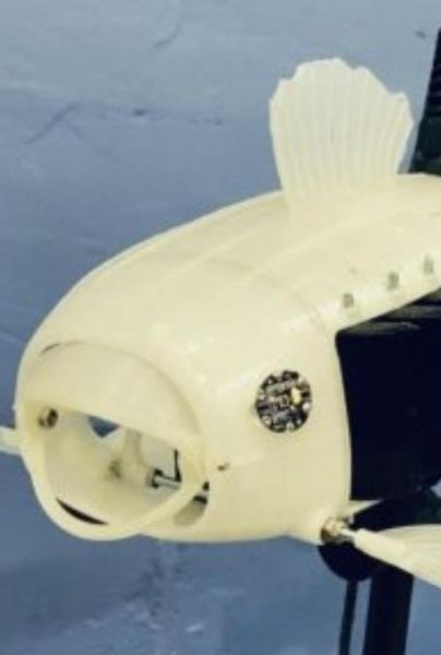 Crean un pez robot para ayudar a la vida marina filtrando los microplásticos