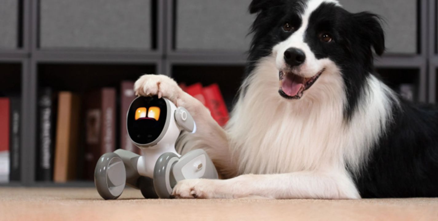 Crean un perro robot que puede detectar emociones