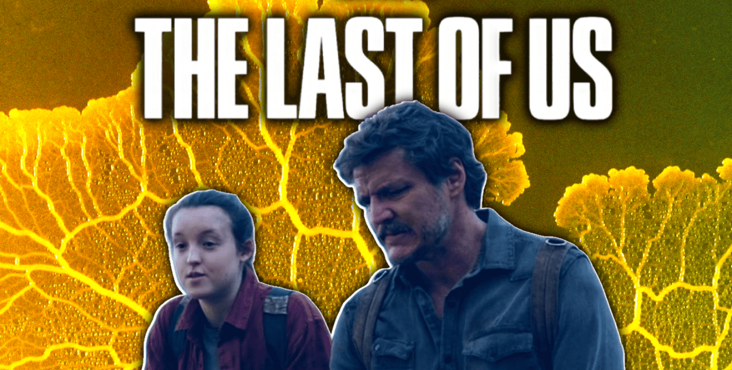 "The Last of Us Part" tendrá dos temporadas más en HBO